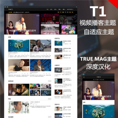 T1-True Mag主題~深度漢化優化—視頻播客主題—新聞視頻wordpress主題,cms視頻模板